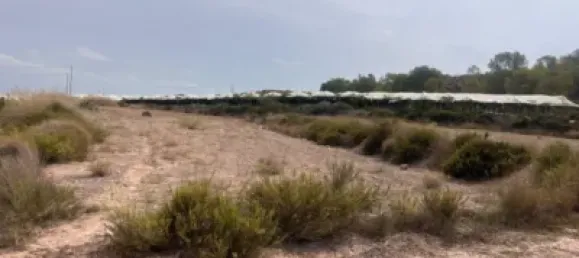 Grundstück in Alhama de Murcia, Spain, Nr. 152568 3