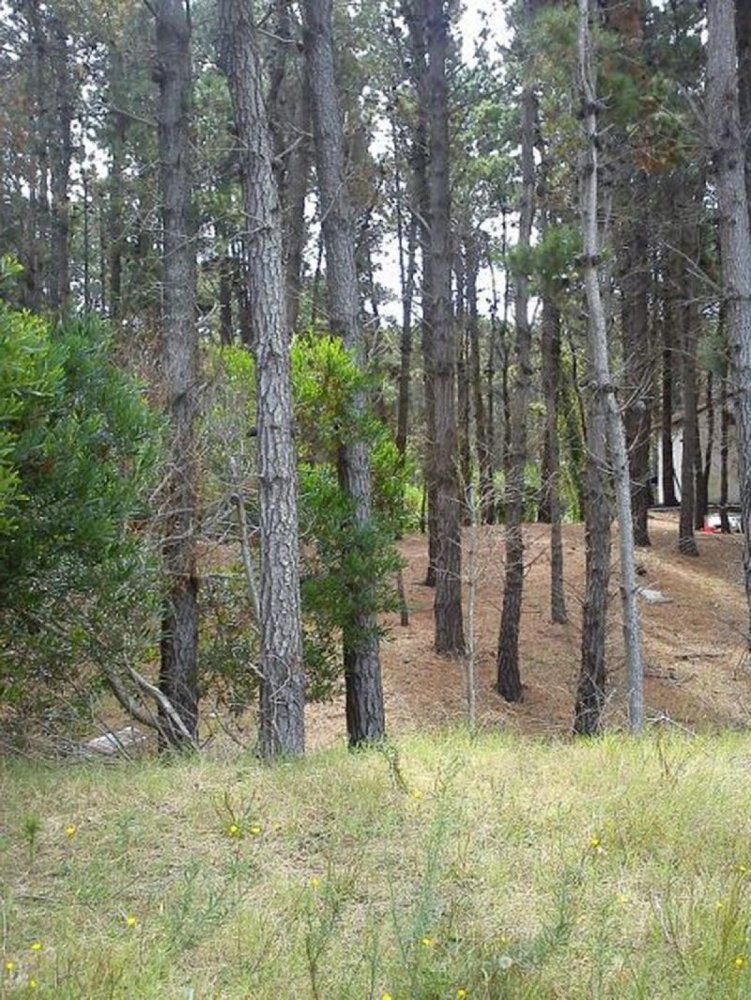  قطعة أرض في Mar del Plata, Argentina رقم 115805