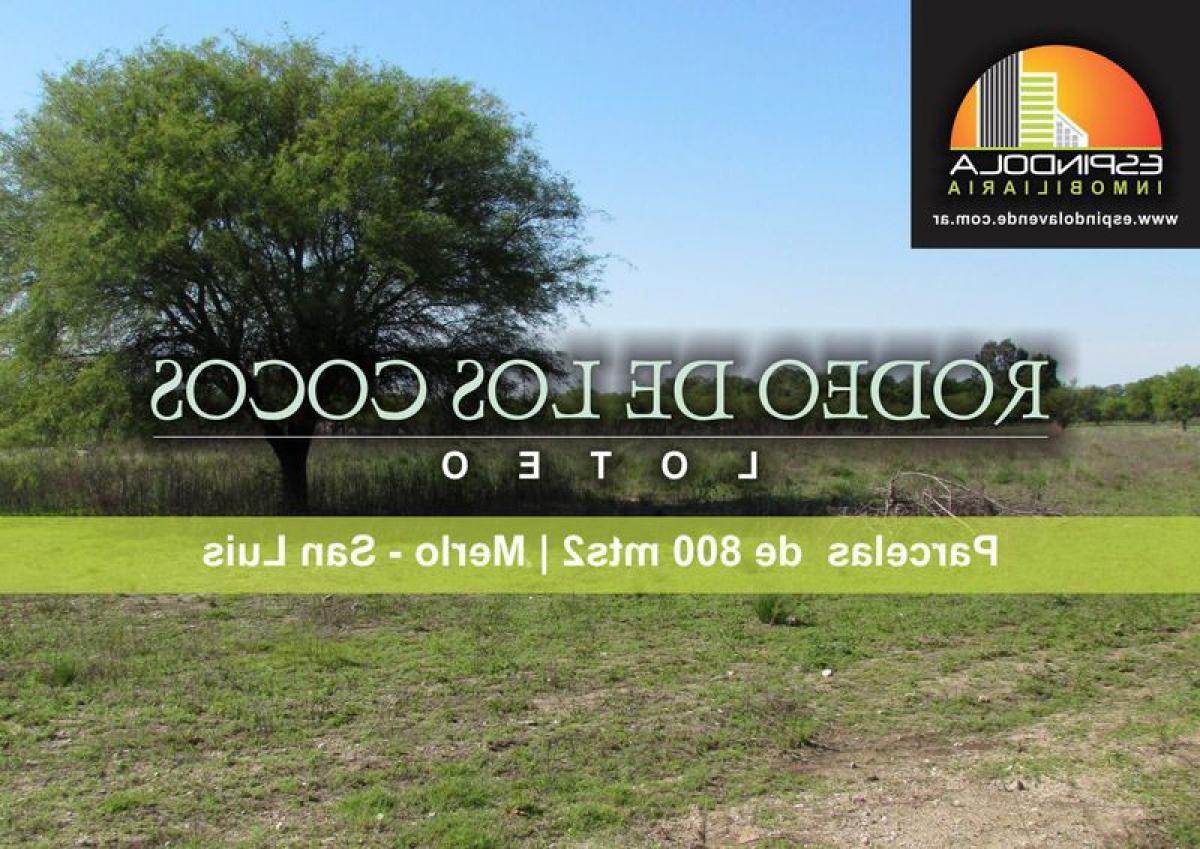  Land in San Luis, Argentina No. 47031