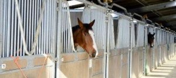 4 غرف نوم منزل في Orleans, France رقم 90578 19