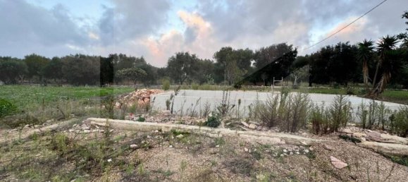 3-Zimmer Haus in Ostuni, Italy, Nr. 20228 11