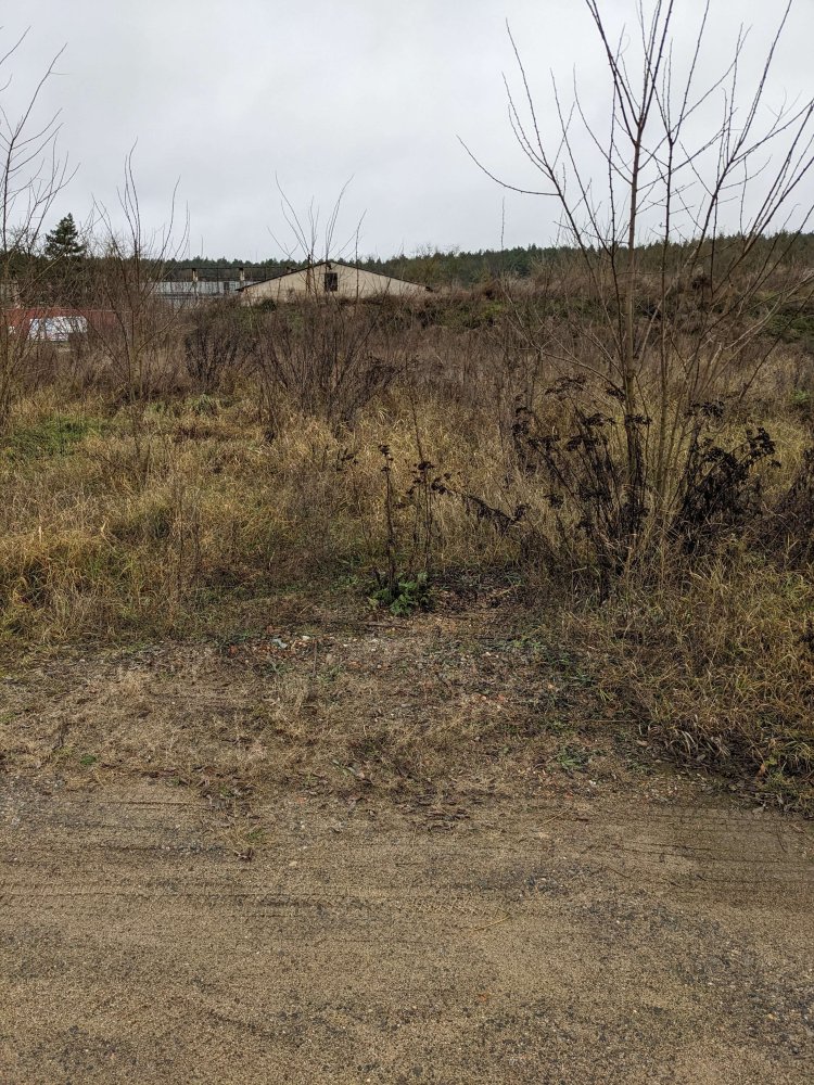 Terreno em Brandenburg, Germany N.º 57080