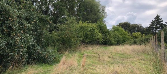 6 bedrooms Townhouse in Nordwestmecklenburg, Germany No. 339544 6