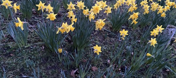 4 chambres Maison à Baden-Wurttemberg, Germany No. 19893 17