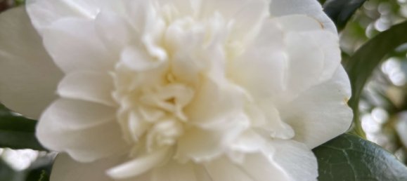 4 chambres Maison à Baden-Wurttemberg, Germany No. 19893 32