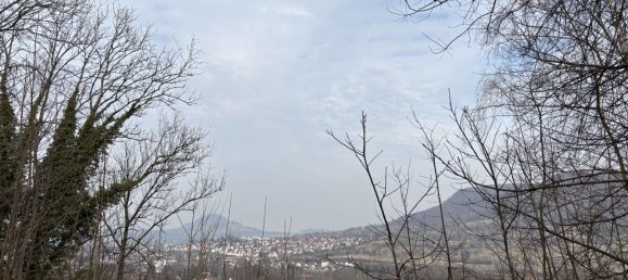 4 chambres Maison à Baden-Wurttemberg, Germany No. 19893 19