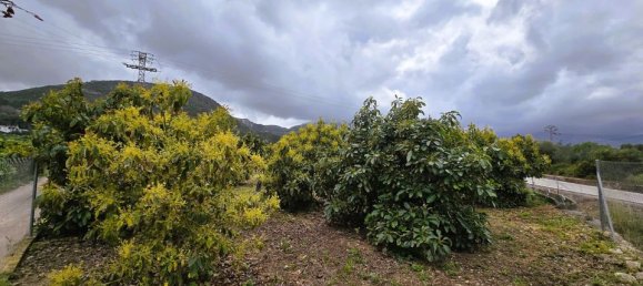 Terreno en Pego, Spain No. 185781 8