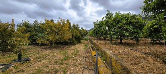 Terreno en Pego, Spain No. 185781 2