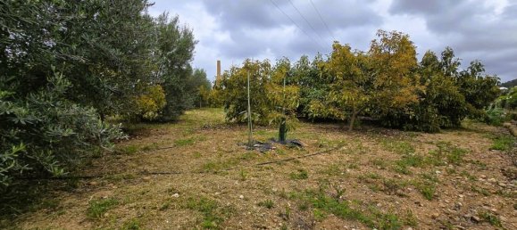 Terreno en Pego, Spain No. 185781 10