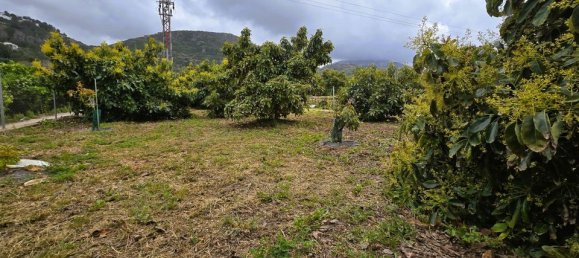Terreno en Pego, Spain No. 185781 9