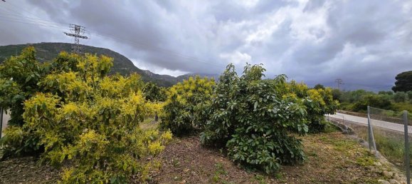 Terreno en Pego, Spain No. 185781 11