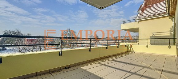 2 bedrooms Apartment in Illfurth, France No. 77197 6