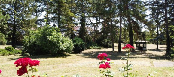 5 rooms Land in Bockfliess, Austria No. 214580 8