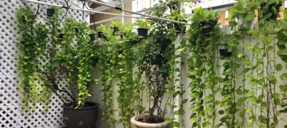 Кафе / ресторан с 4 спальнями в Бангкок, Таиланд № 3575 8