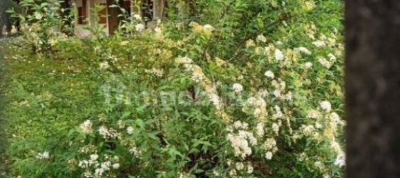 5 rooms Office in Milan, Italy No. 240952 31