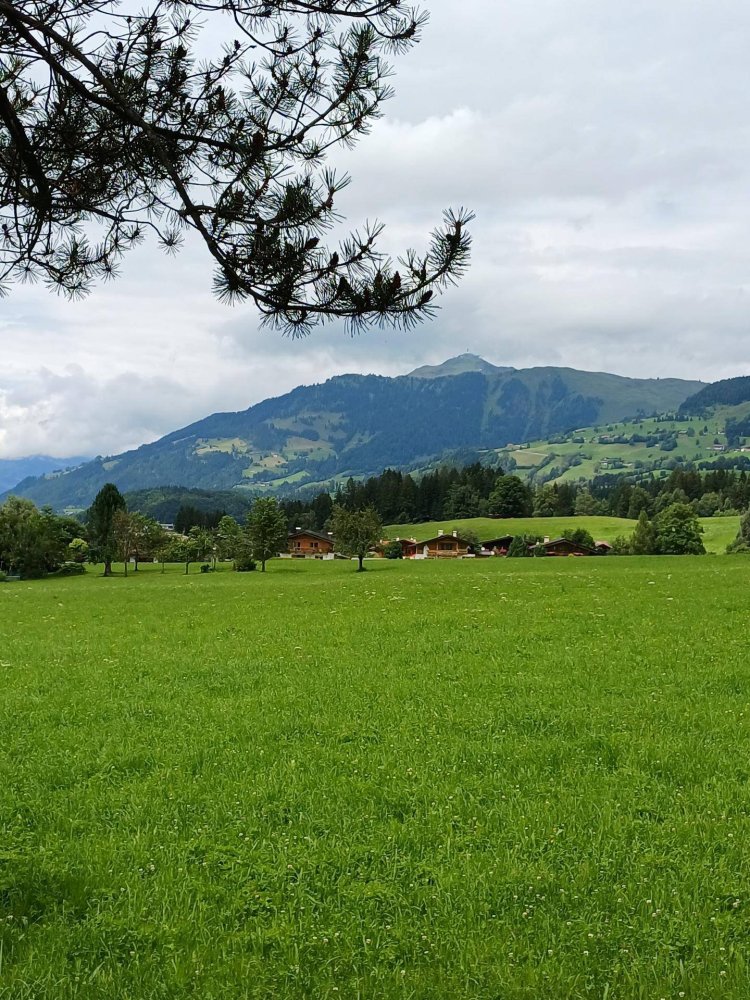 Terrain à Aurach bei Kitzbuhel, Austria 1031m² No. 225376