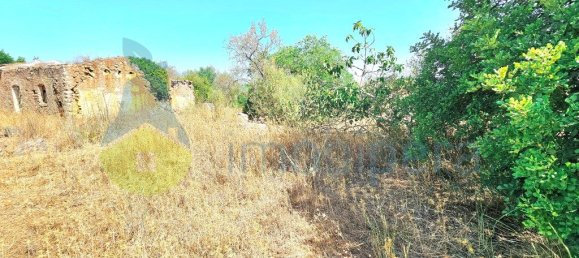 10720m² Land in Paderne, Portugal No. 224590 30