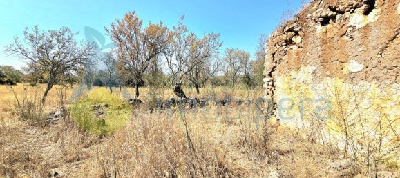 10720m² Land in Paderne, Portugal No. 224590 29