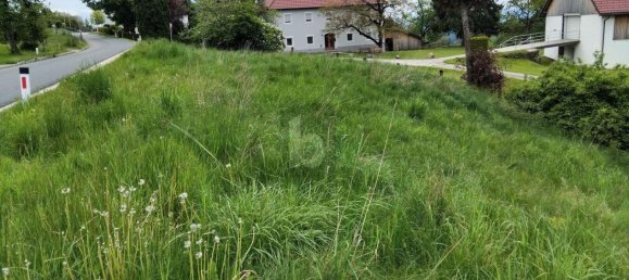 Grundstück in Griffen, Austria, Nr. 201331 5