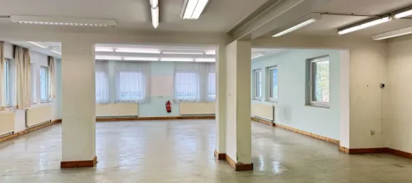 Lagerhaus in Freyung-Grafenau, Germany 195m², Nr. 354026 2