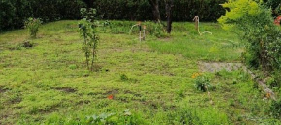 Terreno en Weisensee, Germany No. 261639 9