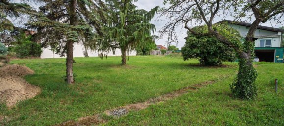  Land in Matzen-Raggendorf, Austria No. 135611 5