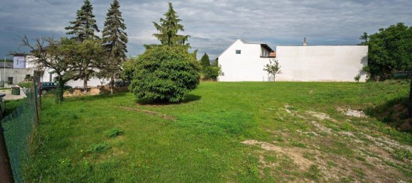  Land in Matzen-Raggendorf, Austria No. 135611 6