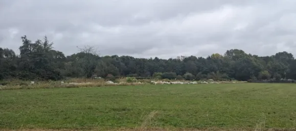  Land in Frankfurt am Main, Germany No. 84980 7