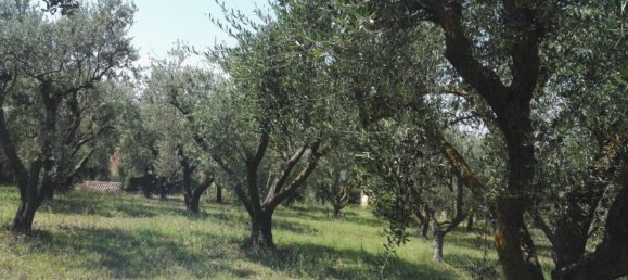 15 rooms House in Recanati, Italy No. 129598 10