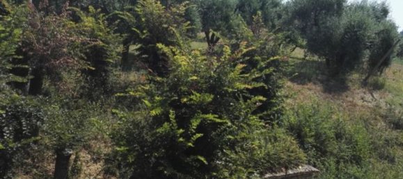 15 rooms House in Recanati, Italy No. 129598 16