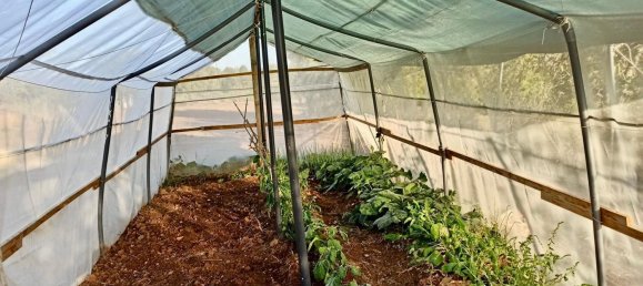 Дом с 3 спальнями в Лломбай, Испания № 68240 22