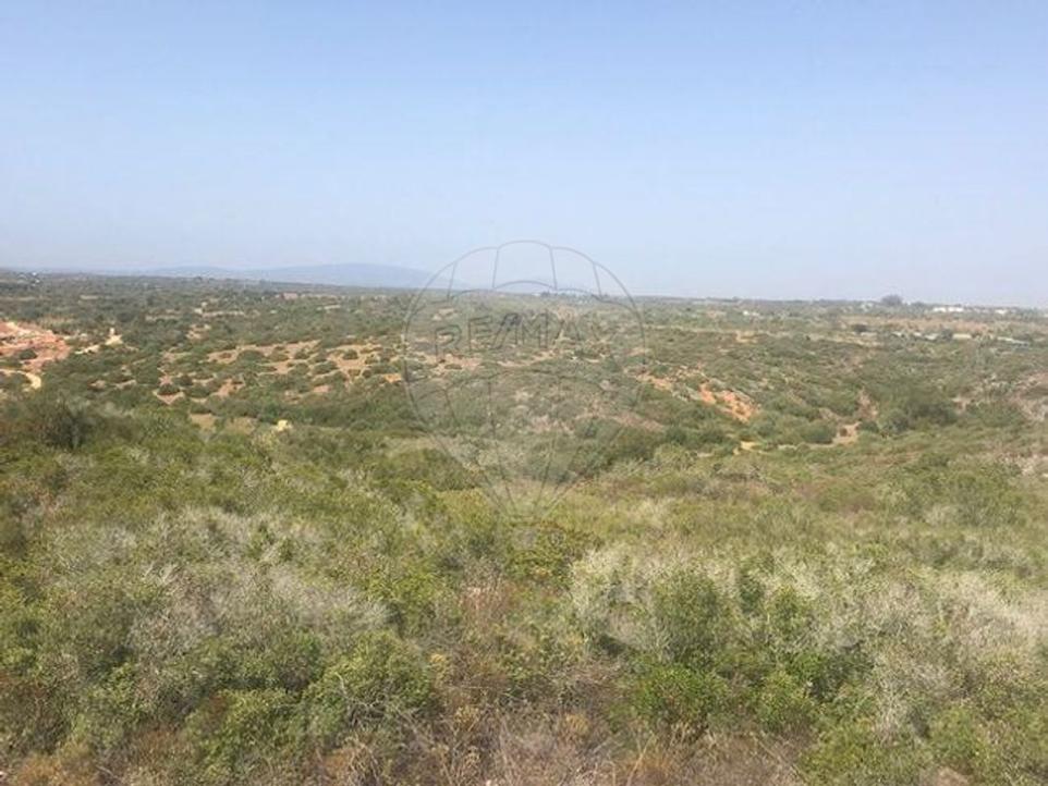  Land in Barao de Sao Miguel, Portugal No. 294836