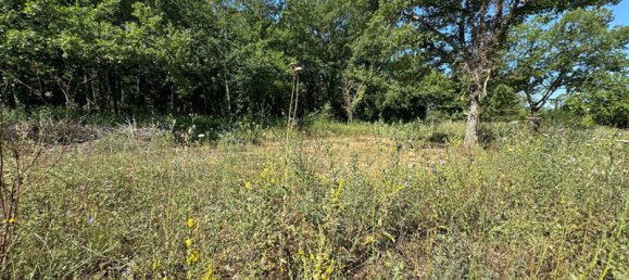 1 Schlafzimmer Grundstück in Tourrettes, France, Nr. 185263 3