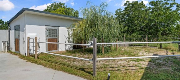 5 bedrooms House in Gols, Austria No. 222692 10