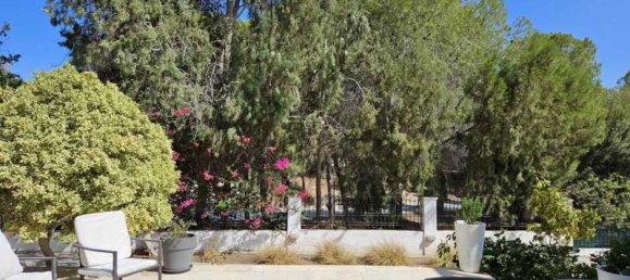 Imóvel comercial T6 em Larnaca, Cyprus N.º 19918 6