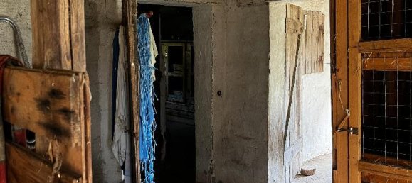 Дом с 4 комнатами в Мансфельд-Зюдгарц, Германия № 162586 7