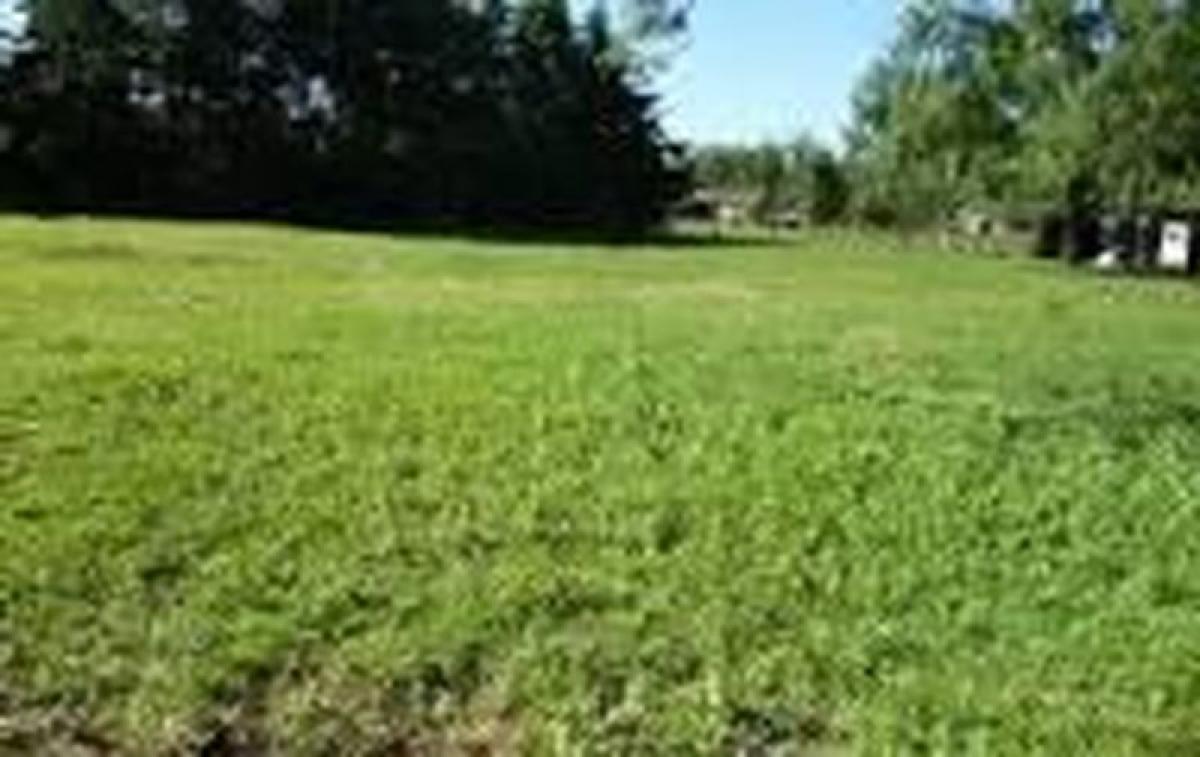 Grundstück in Entre Rios, Argentina, Nr. 32319