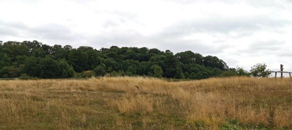 2 bedrooms House in Mayenne, France No. 357897 6