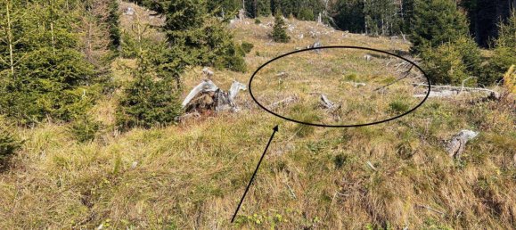 Земельный участок в Мурау, Австрия № 167406 9