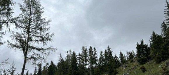 Земельный участок в Мурау, Австрия № 167406 6