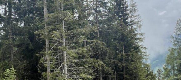 Земельный участок в Мурау, Австрия № 167406 5