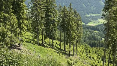 Земельный участок в Мурау, Австрия № 167406