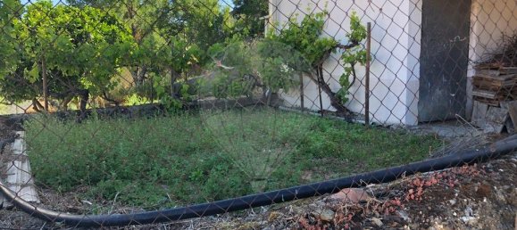 5 Schlafzimmer Haus in Cedovim, Portugal, Nr. 23902 6