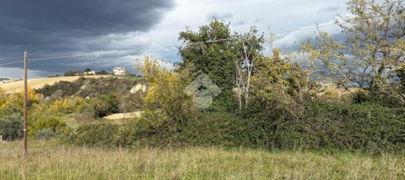 3غرفة قطعة أرض في Sant'Egidio alla Vibrata, Italy رقم 41135 7