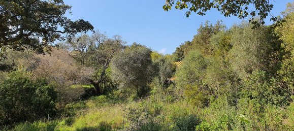  Land in Cadiz, Spain No. 72362 2