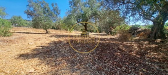 2 bedrooms Villa in Loule, Portugal No. 259280 13