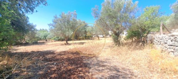 2 bedrooms Villa in Loule, Portugal No. 259280 20