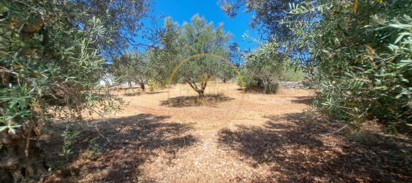 2 bedrooms Villa in Loule, Portugal No. 259280 50