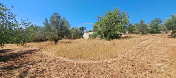 2 bedrooms Villa in Loule, Portugal No. 259280 17