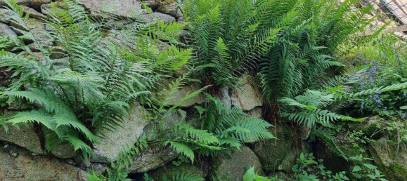 4 rooms House in St. Veit im Muhlkreis, Austria No. 154868 4